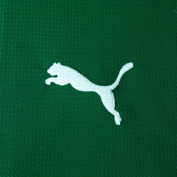 CAMISA VERDÃO 2026/27  PRONTA ENTREGA MASCULINA